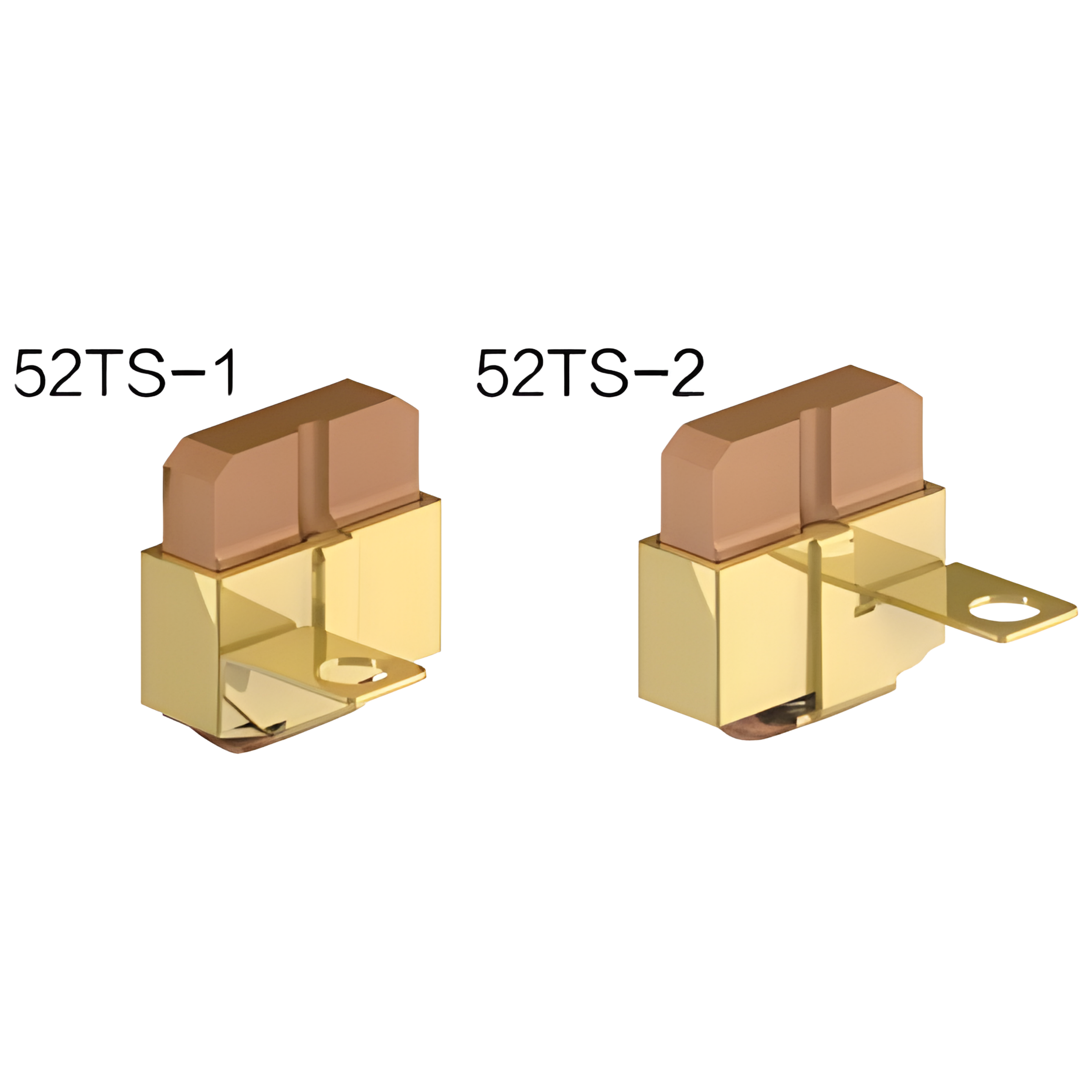 52TS-1 และ 52TS-2 — ชุดแปรงคาร์บอน